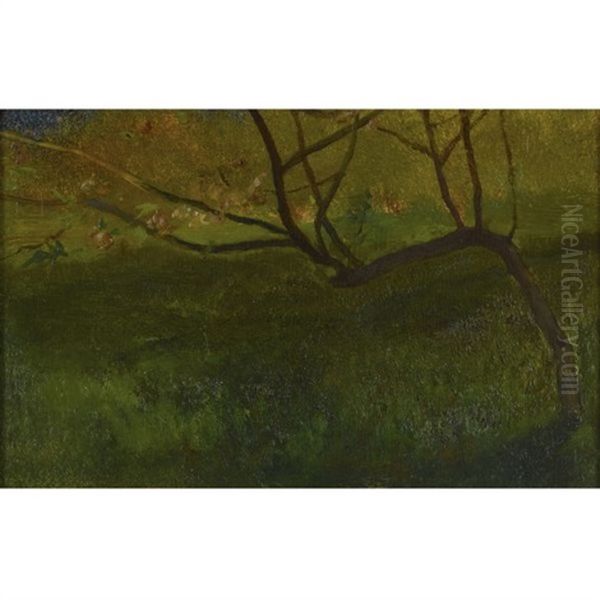 Apple Tree, Spring (study) Oil Painting by John La Farge