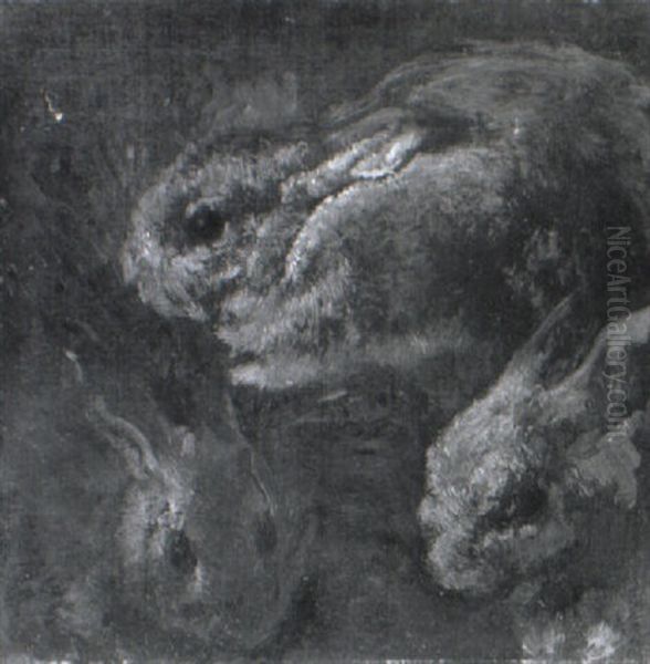 A Study Of Rabbits Oil Painting by Gaston La Touche