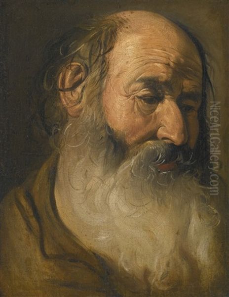 Head Of An Old Bearded Man Oil Painting by Georges de La Tour