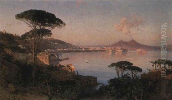 Veduta Di Napoli Da Posillipo Oil Painting by Alessandro la Volpe