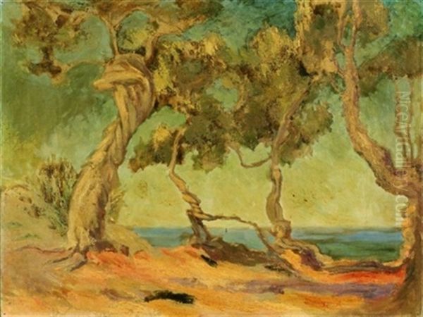 Trees By The Shore, A California View (?) Oil Painting by Bertha Lacey