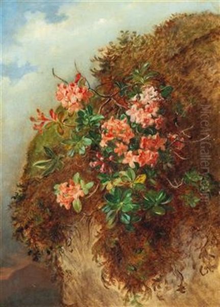 Alpine Rose On A Mountain Slope Oil Painting by Andreas Lach