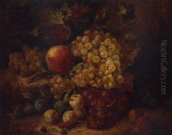 Grapes, A Peach, Green Gages, Medlars And A Bee On A Rockery Oil Painting by Andreas Lach