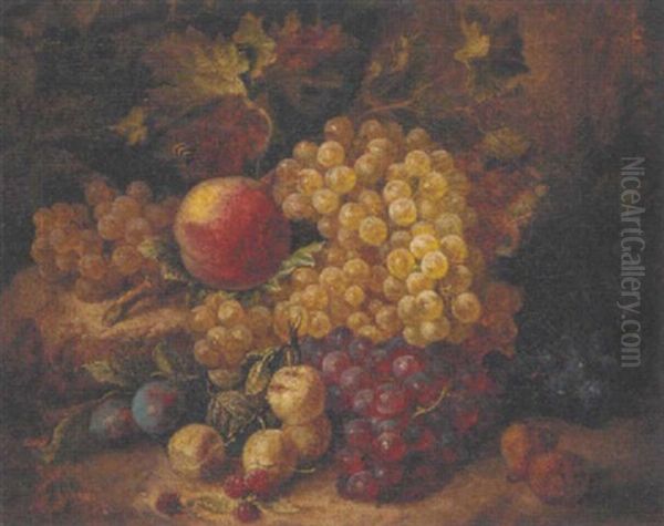 Grapes, A Peach, Green Gages, Medlars And A Bee On A Rockery Oil Painting by Andreas Lach