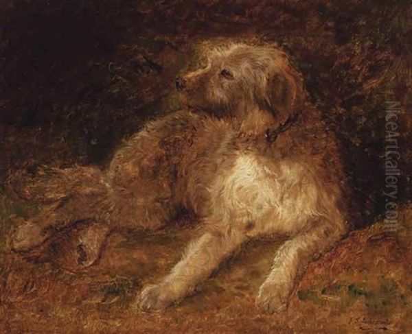 Liegender Hund by F. Sigmund Lachenwitz