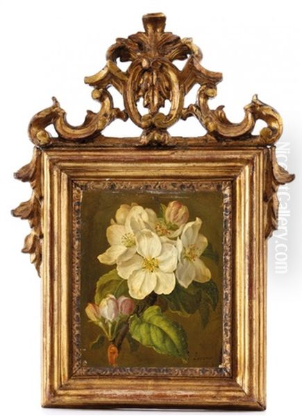 Branche De Pommier En Fleurs Oil Painting by Francisco Jose Pablo Lacoma