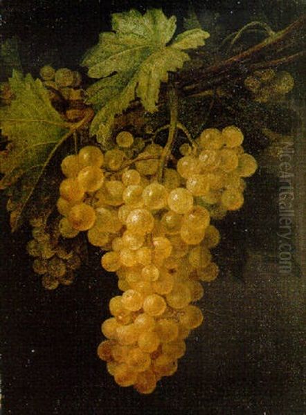 A Bunch Of White Grapes On The Vine Oil Painting by Francisco Jose Pablo Lacoma