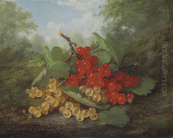 Still Life With Red And White Currants Oil Painting by Paul Lacroix