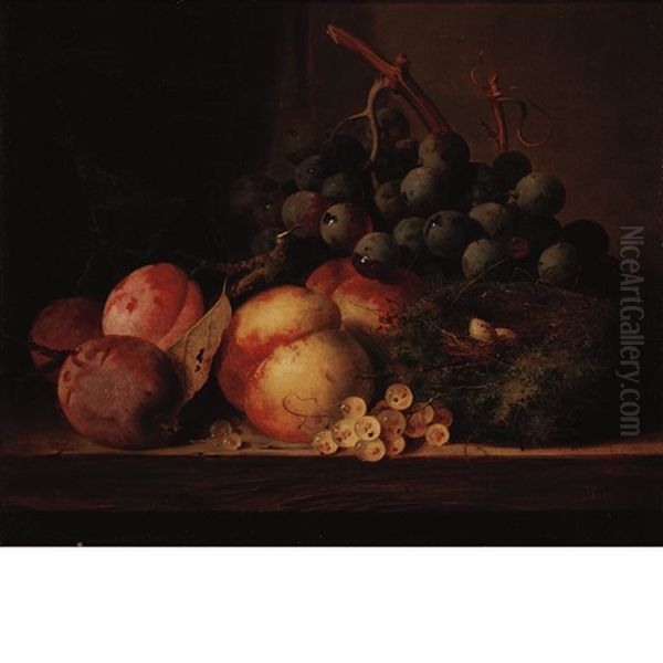 Still Life Of Fruit And A Bird's Nest On A Table Top Oil Painting by Edward Ladell