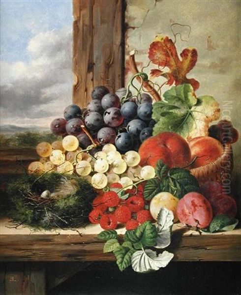 A Still Life Of A Bird's Nest, Graps, Raspberries, And Peaches On A Ledge Oil Painting by Edward Ladell