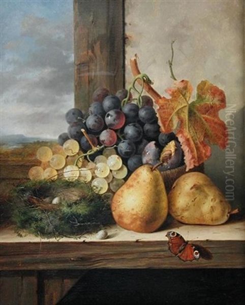 A Still Life Of A Bunch Of Grapes, Plums, Pears And A Bird's Nest, With A Peacock Butterfly On A Ledge Oil Painting by Edward Ladell