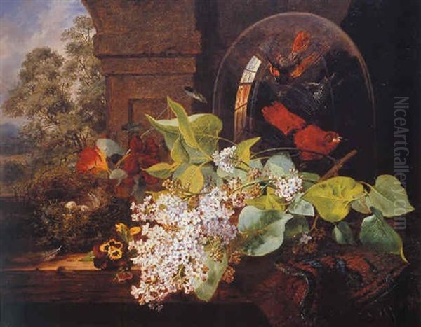 Still Life Of Blossom And Birds Of Paradise Oil Painting by Edward Ladell