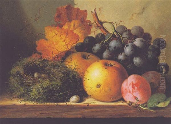 Still Life With Grapes, Apples, Plums And A Bird's Nest On A Ledge Oil Painting by Edward Ladell