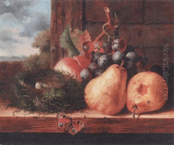 A Bird's Nest With Two Eggs, A Peacock Butterfly And Autumn Fruits On A Wooden Ledge Oil Painting by Edward Ladell