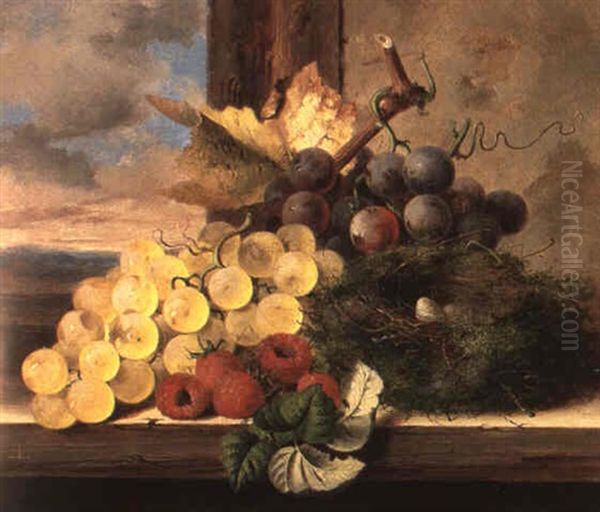 Grapes, Raspberries And A Bird's Nest On A Wooden Ledge by Edward Ladell