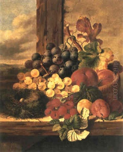 A Still Life Of Grapes, Raspberries, Plums, Peaches And A   Quail's Nest Oil Painting by Edward Ladell