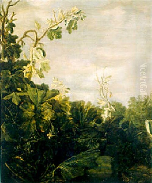 A Pumpkin, A Fig Tree And Other Plants Oil Painting by Reynier Van Der Laeck