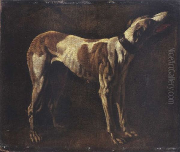 A Greyhound Oil Painting by Pieter Jacobsz. van Laer