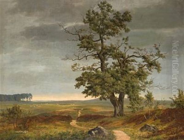 Landskap Med Beitende Sauer Oil Painting by Thorald Laessoe