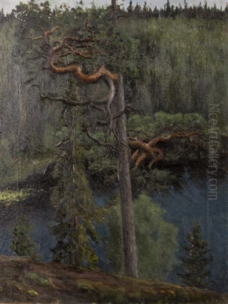 Pine Oil Painting by Berndt Lagerstam