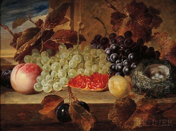 Still Life With Fruit And Bird's Nest Oil Painting by George Lance