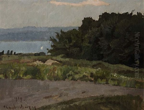 Am Ammersee Oil Painting by Christian Landenberger