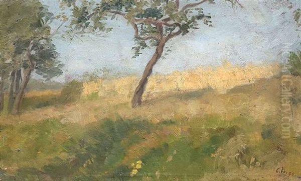 Sommerlandschaft Mit Baumen Oil Painting by Christian Landenberger