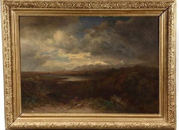 The Valley Of Mexico: View On Lake Texcoco; The Modern City Of Mexico In The Distance Oil Painting by Eugenio Landesio