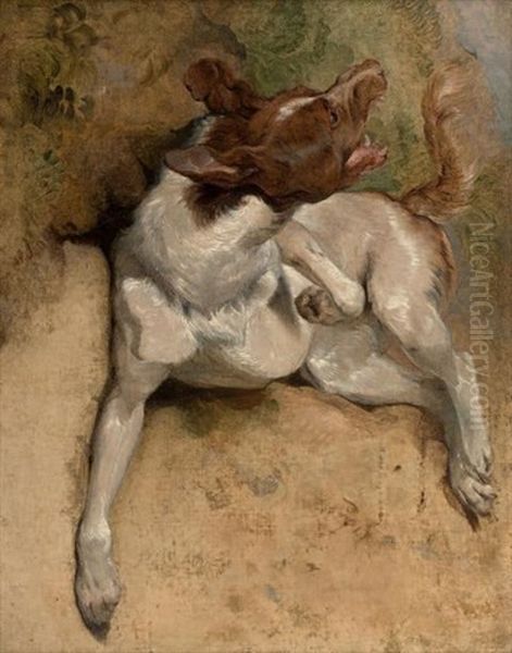 Etude De Chien Oil Painting by Sir Edwin Henry Landseer