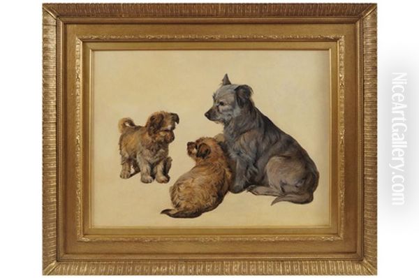 Study Of Dogs Oil Painting by Sir Edwin Henry Landseer