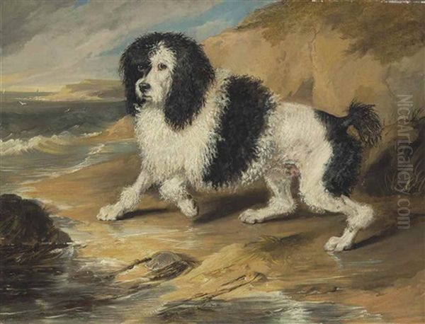 Tapageur, The Poodle Belonging To The Honorable Frederick Byng Oil Painting by Sir Edwin Henry Landseer