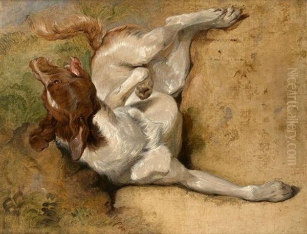 Etude De Chien Oil Painting by Sir Edwin Henry Landseer