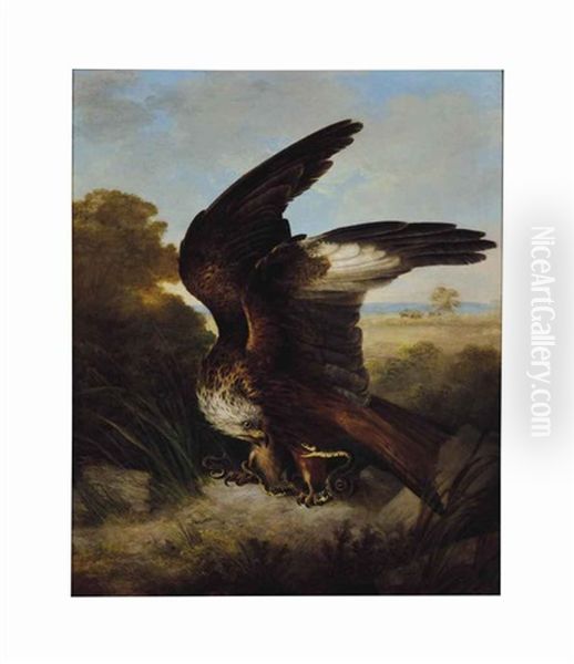 A Snake In The Talons Of An Eagle Oil Painting by Sir Edwin Henry Landseer