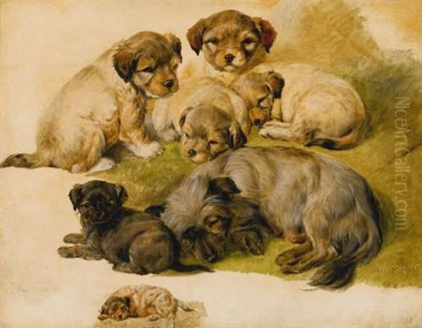 Study Of A Terrier And Puppies Oil Painting by Sir Edwin Henry Landseer