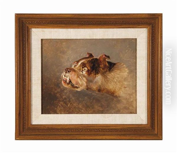 Study Of A Bulldog Oil Painting by Sir Edwin Henry Landseer