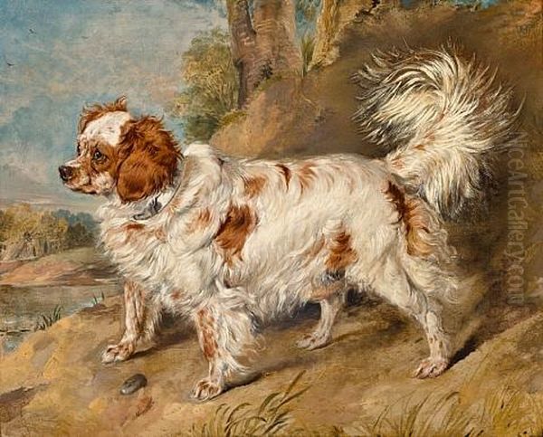 A Dog Of The Marlborough Breed Oil Painting by Sir Edwin Henry Landseer