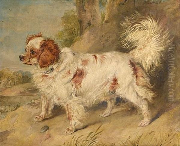 A Dog Of The Marlborough Breed Oil Painting by Sir Edwin Henry Landseer