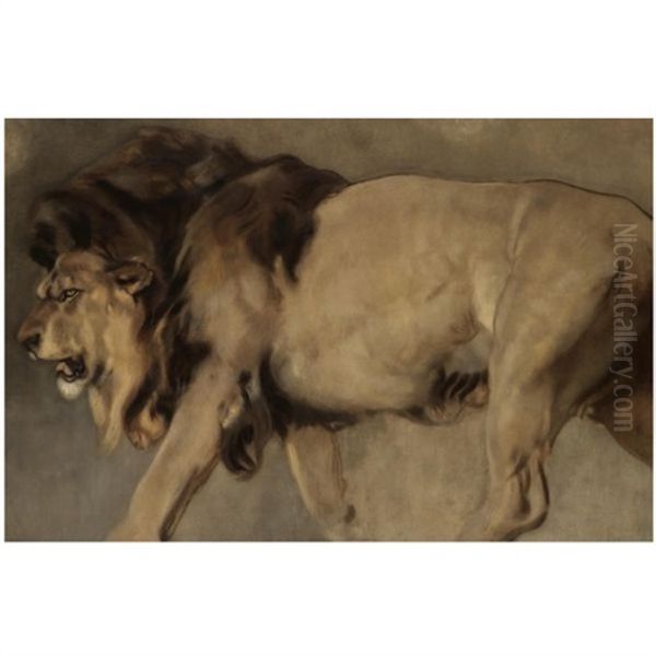 Study Of A Lion Oil Painting by Sir Edwin Henry Landseer