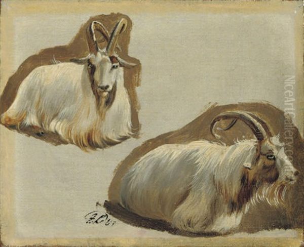 Studies Of Ibex by Sir Edwin Henry Landseer