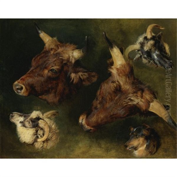 Cattle And Sheep (study) Oil Painting by Sir Edwin Henry Landseer