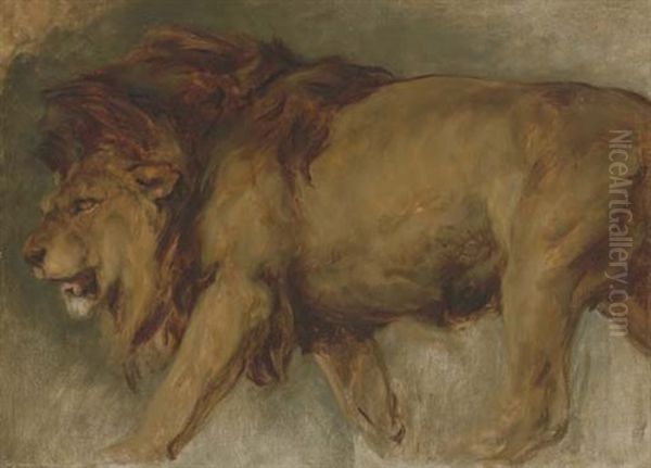 Study Of A Lion Oil Painting by Sir Edwin Henry Landseer