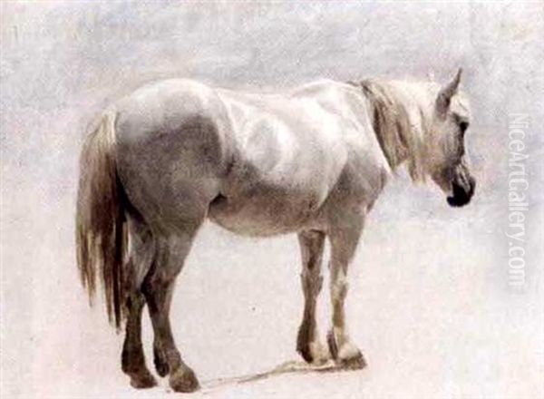 A Highland Pony Oil Painting by Sir Edwin Henry Landseer