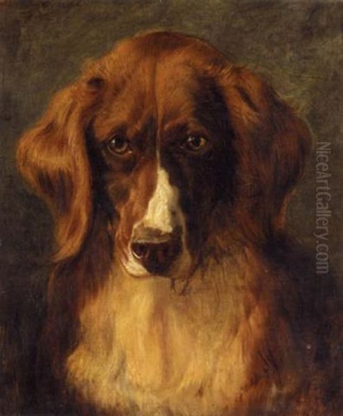 Portrait Of Mrs Keyl's Favourite Dog Oil Painting by Sir Edwin Henry Landseer