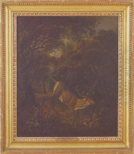 Landscape With Stag At Bay In A Dense Forest by Sir Edwin Henry Landseer