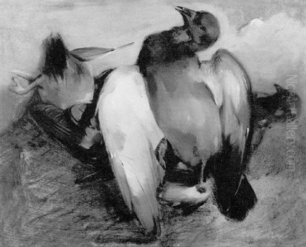 Pair Of Doves Oil Painting by Sir Edwin Henry Landseer