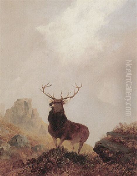 Zwolfender Auf Hugeliger Kuppe Mit Felshintergrund Oil Painting by Sir Edwin Henry Landseer