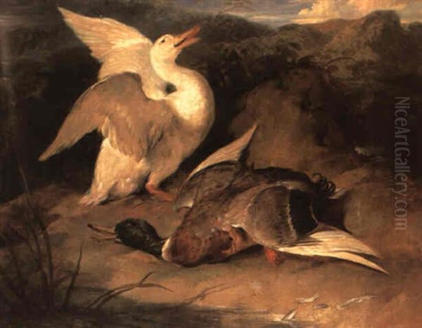 The Widow by Sir Edwin Henry Landseer