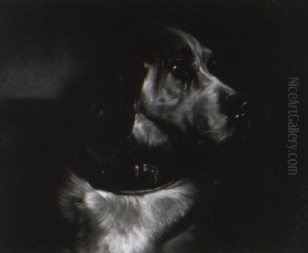 Portrait Of A Hound by Sir Edwin Henry Landseer