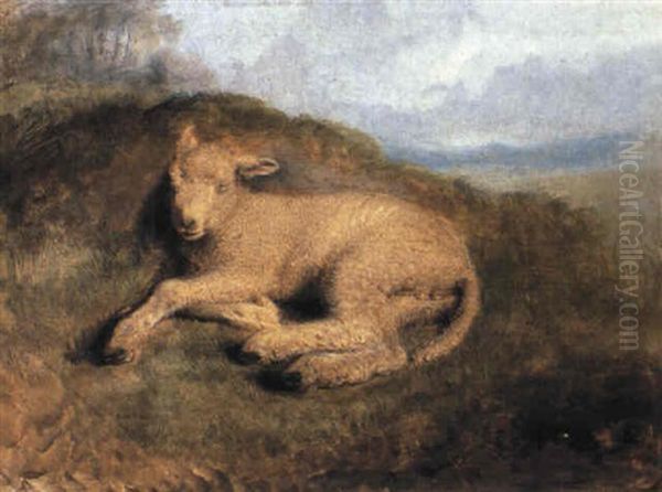 A Sleeping Lamb Oil Painting by Sir Edwin Henry Landseer