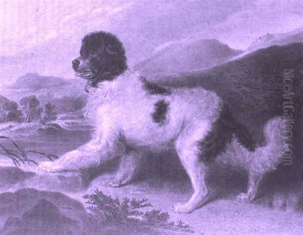 Newfoundland In A Landscape Near A Lake Oil Painting by Sir Edwin Henry Landseer